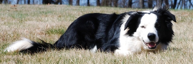 [DSC_0350 copy 2[8].jpg]